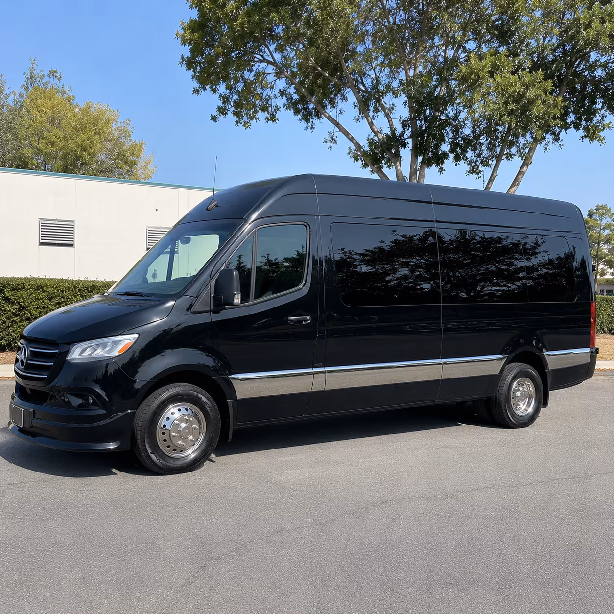 sterling heights wedding transportation onboard seating